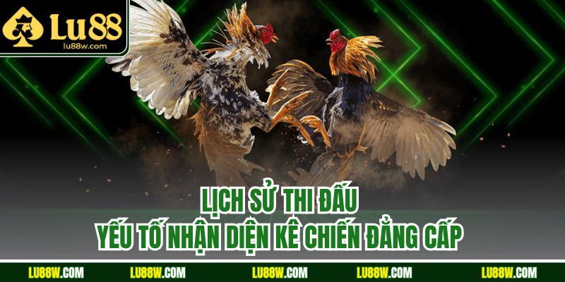 Lịch sử thi đấu – yếu tố nhận diện kê chiến đẳng cấp