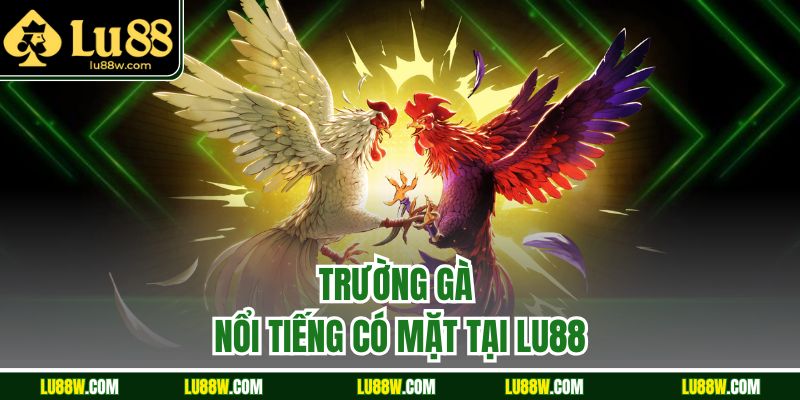 Trường gà nổi tiếng có mặt tại LU88