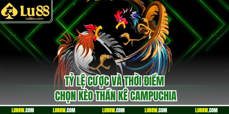 Tỷ lệ cược và thời điểm chọn kèo thần kê campuchia